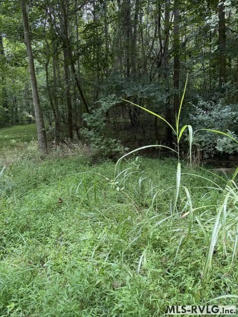 Acreage,Residential Lot-Restricted,Unimproved Land at 000 Second Ave, Lawrenceville VA 23868, Lawrenceville, photo 7 of 38