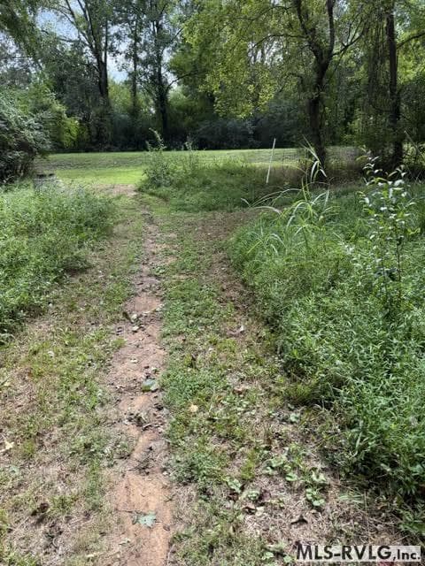 Acreage,Residential Lot-Restricted,Unimproved Land at 000 Second Ave, Lawrenceville VA 23868, Lawrenceville, photo 10 of 38