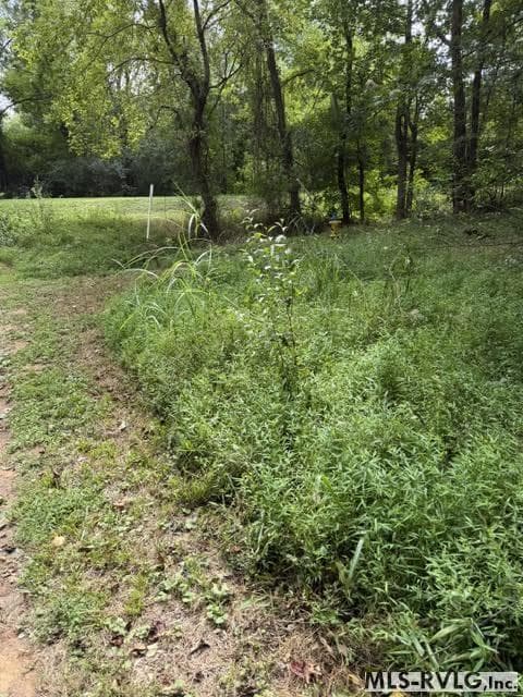 Acreage,Residential Lot-Restricted,Unimproved Land at 000 Second Ave, Lawrenceville VA 23868, Lawrenceville, photo 4 of 38