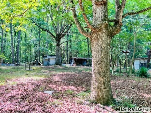 Residential/Vacation at 3599 Skipwith Rd, Boydton VA 23917, Boydton, photo 7 of 18