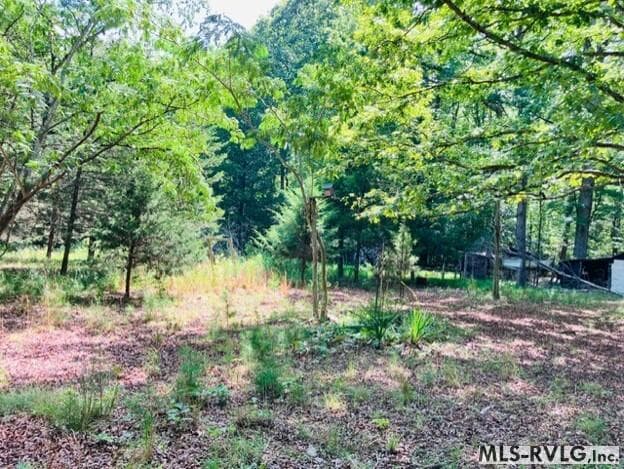 Residential/Vacation at 3599 Skipwith Rd, Boydton VA 23917, Boydton, photo 3 of 18