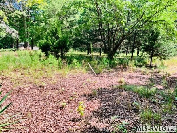 Residential/Vacation at 3599 Skipwith Rd, Boydton VA 23917, Boydton, photo 4 of 18