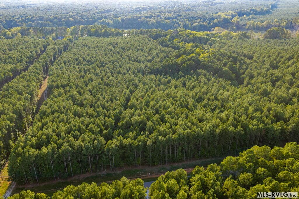 Acreage,Residential Lot-Restricted,Unimproved Land at 3376 Birdsong Rd, Ebony VA 23845, Ebony, photo 6 of 14
