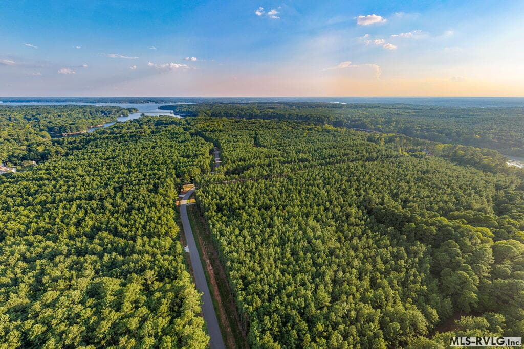 Acreage,Residential Lot-Restricted,Unimproved Land at 3376 Birdsong Rd, Ebony VA 23845, Ebony, photo 13 of 14