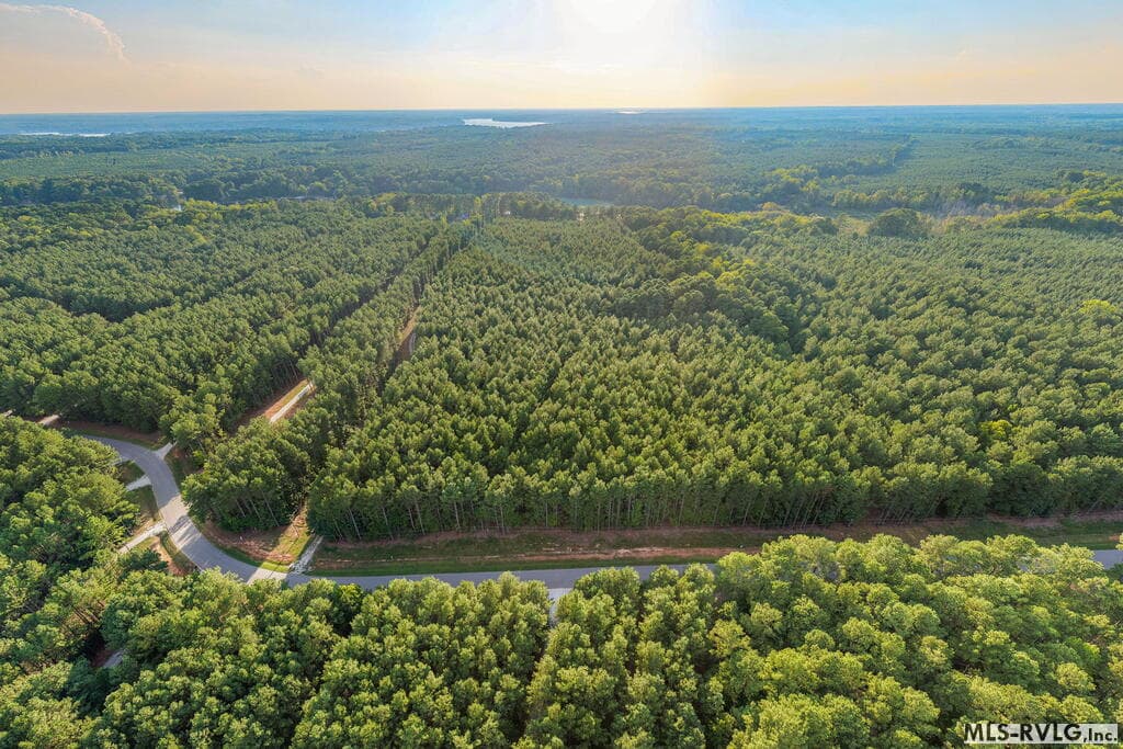 Acreage,Residential Lot-Restricted,Unimproved Land at 3376 Birdsong Rd, Ebony VA 23845, Ebony, photo 12 of 14