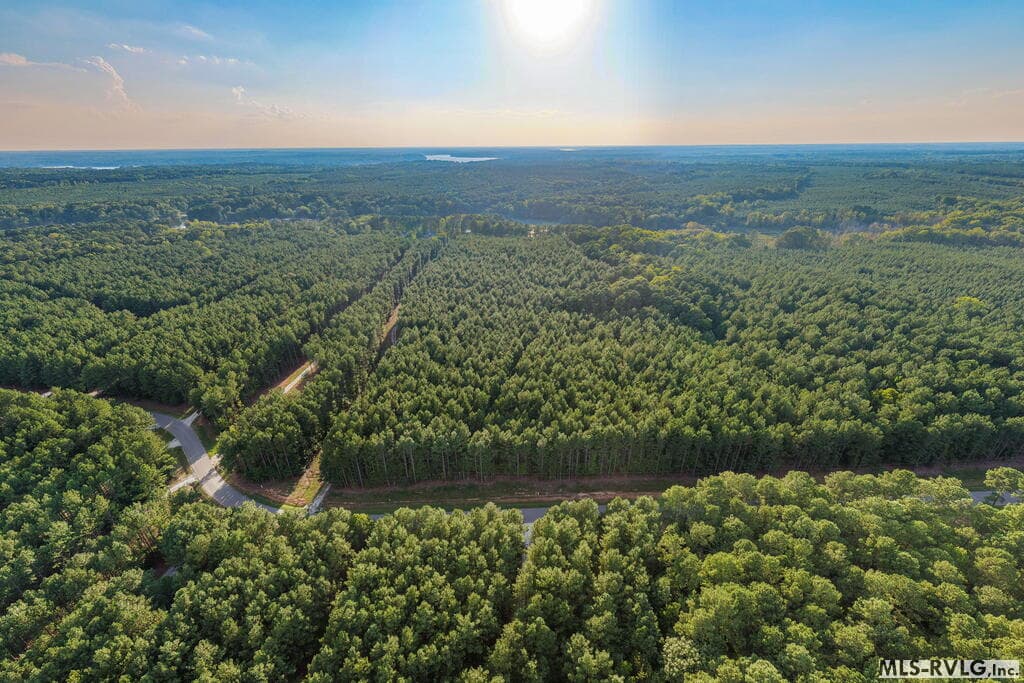 Acreage,Residential Lot-Restricted,Unimproved Land at 3376 Birdsong Rd, Ebony VA 23845, Ebony, photo 7 of 14