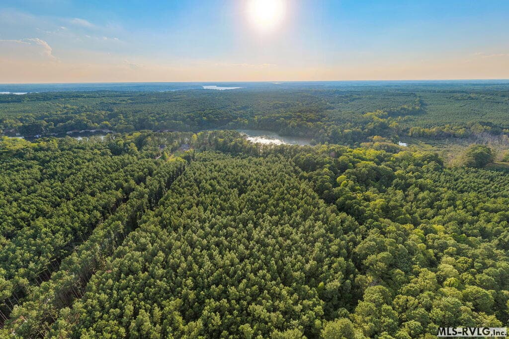 Acreage,Residential Lot-Restricted,Unimproved Land at 3376 Birdsong Rd, Ebony VA 23845, Ebony, photo 9 of 14