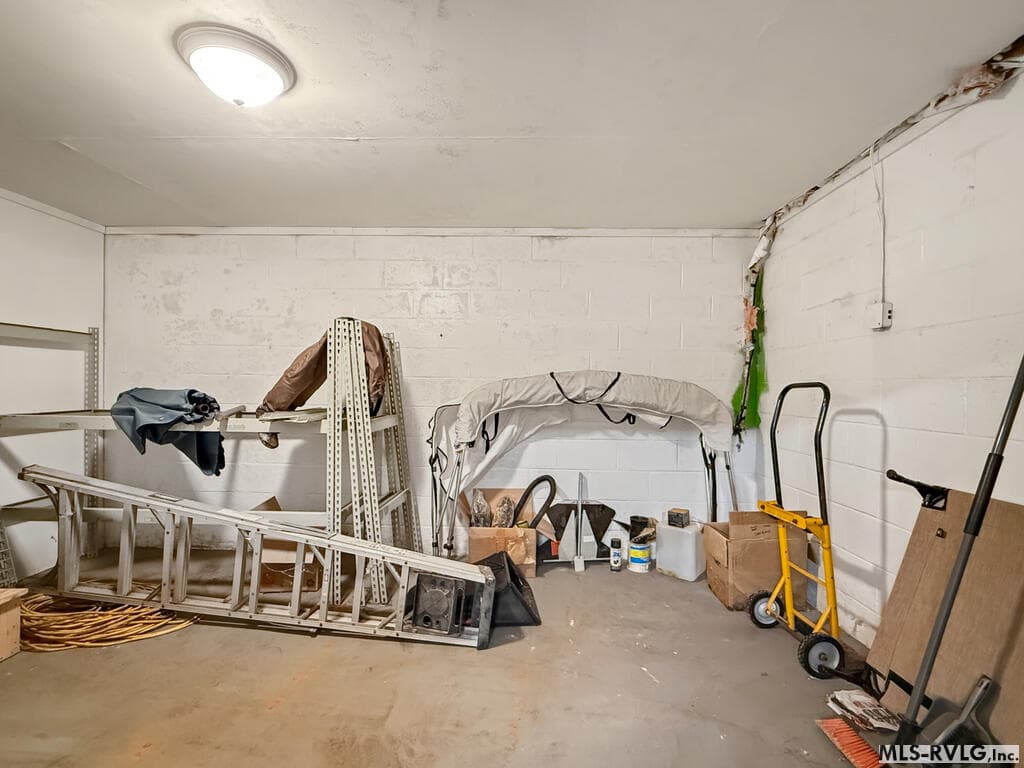 Basement storage room - 639 Holly Grove Ln, Bracey VA 23919, Bracey