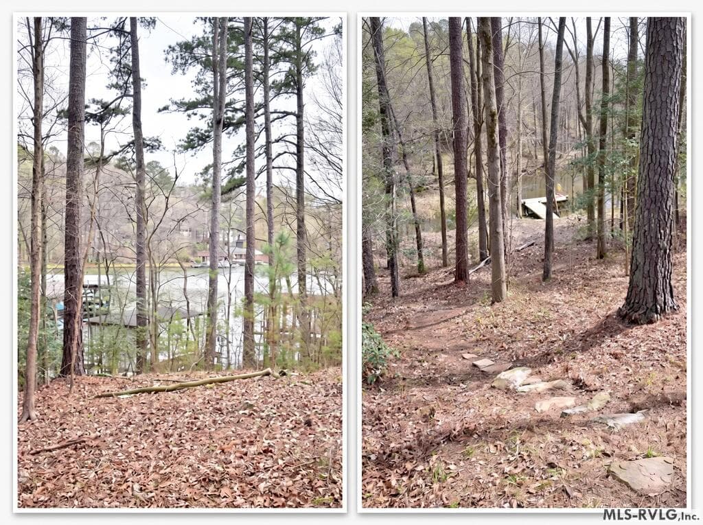 The dock that conveys with the property. Canoe, kayak launch on the property - 639 Holly Grove Ln, Bracey VA 23919, Bracey