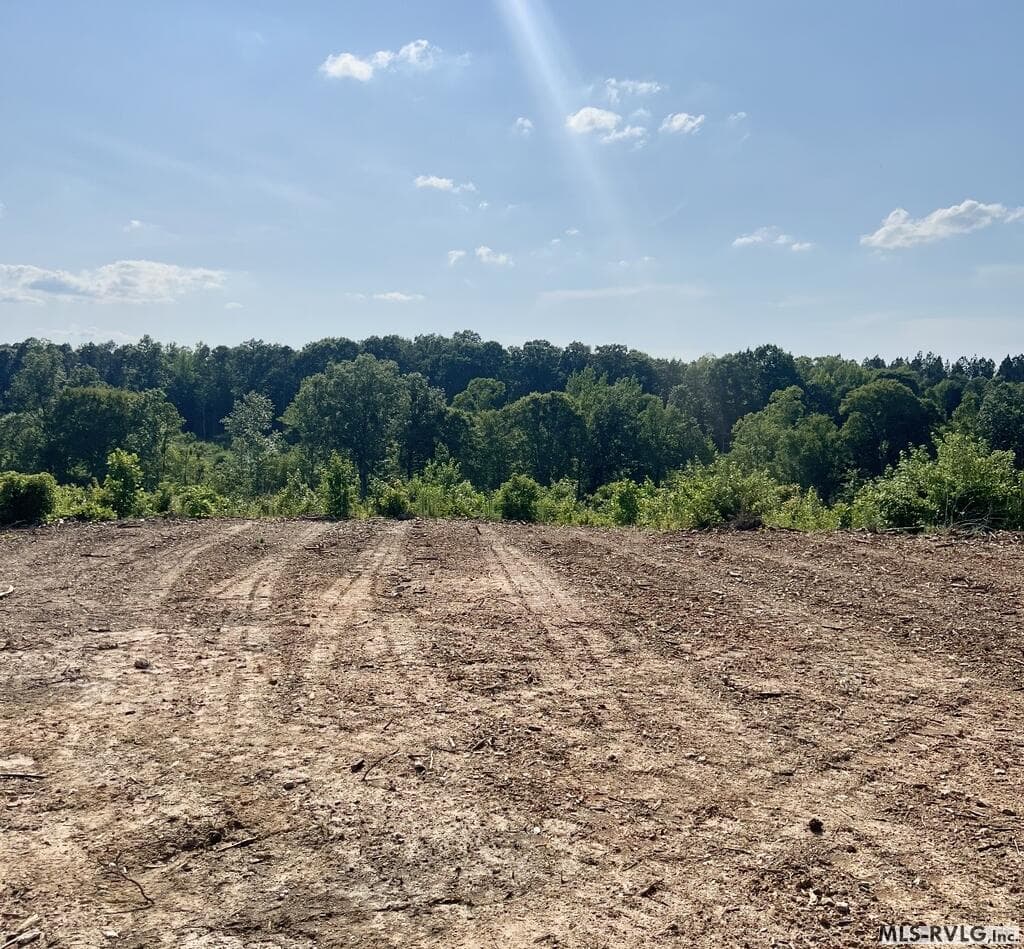 Acreage,Farm,Unimproved Land at 000 Hayes Mill Rd, Boydton VA 23917, Boydton, photo 4 of 5