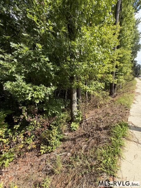 Acreage,Residential Lot-Unrestricted,Single Wide Permitted,Double Wide Permitted,Modular On Frame Permitted,Unimproved Land at 000 Christanna Hwy, Lawrenceville VA 23868, Lawrenceville, photo 2 of 8