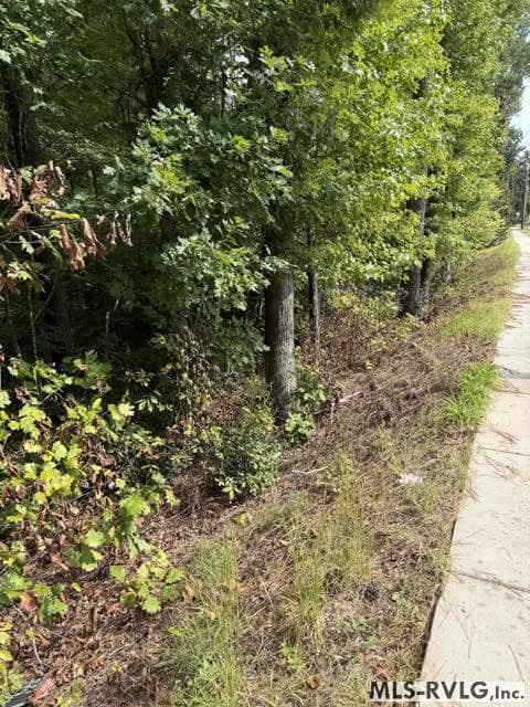 Acreage,Residential Lot-Unrestricted,Single Wide Permitted,Double Wide Permitted,Modular On Frame Permitted,Unimproved Land at 000 Christanna Hwy, Lawrenceville VA 23868, Lawrenceville, photo 7 of 8