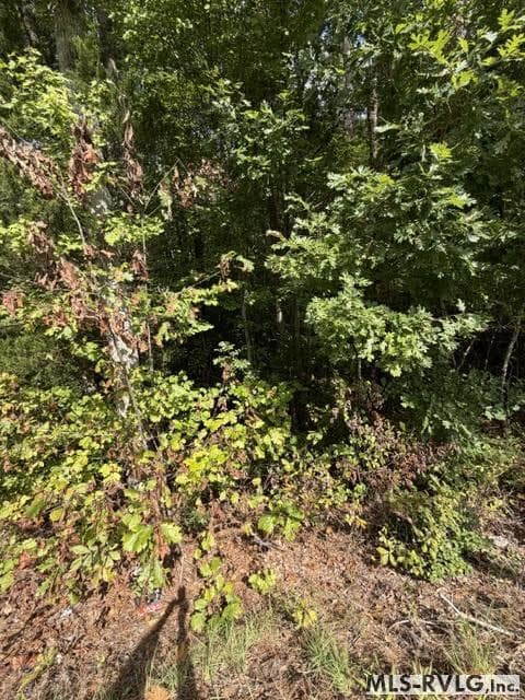 Acreage,Residential Lot-Unrestricted,Single Wide Permitted,Double Wide Permitted,Modular On Frame Permitted,Unimproved Land at 000 Christanna Hwy, Lawrenceville VA 23868, Lawrenceville, photo 3 of 8
