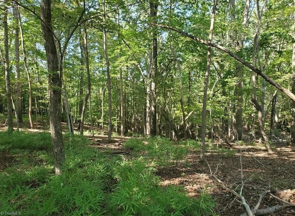 Stick/Site Built at 652 Johnson Ridge Road, Elkin NC 28621, photo 17 of 25
