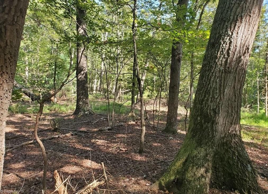 Stick/Site Built at 652 Johnson Ridge Road, Elkin NC 28621, photo 16 of 25