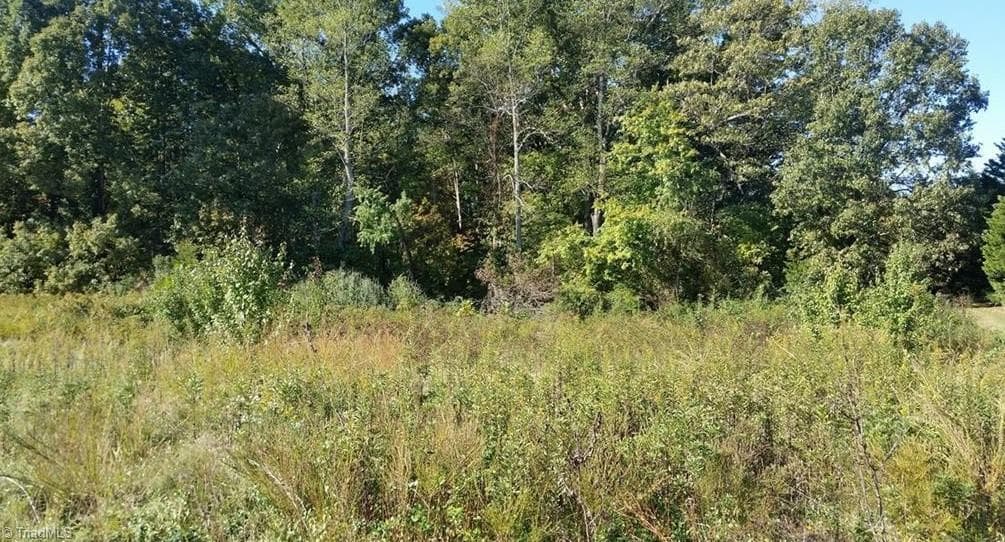 Unimproved Land at 0 Johnson Ridge Road, Elkin NC 28621, photo 5 of 5