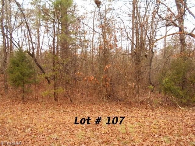 #107 Deer Run, Eden NC 27288