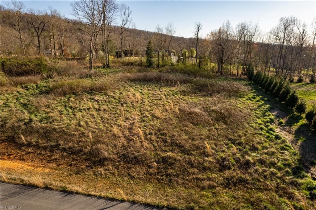 Unimproved Land at TBD1 Town N Country Drive, Wilkesboro NC 28697, photo 6 of 22