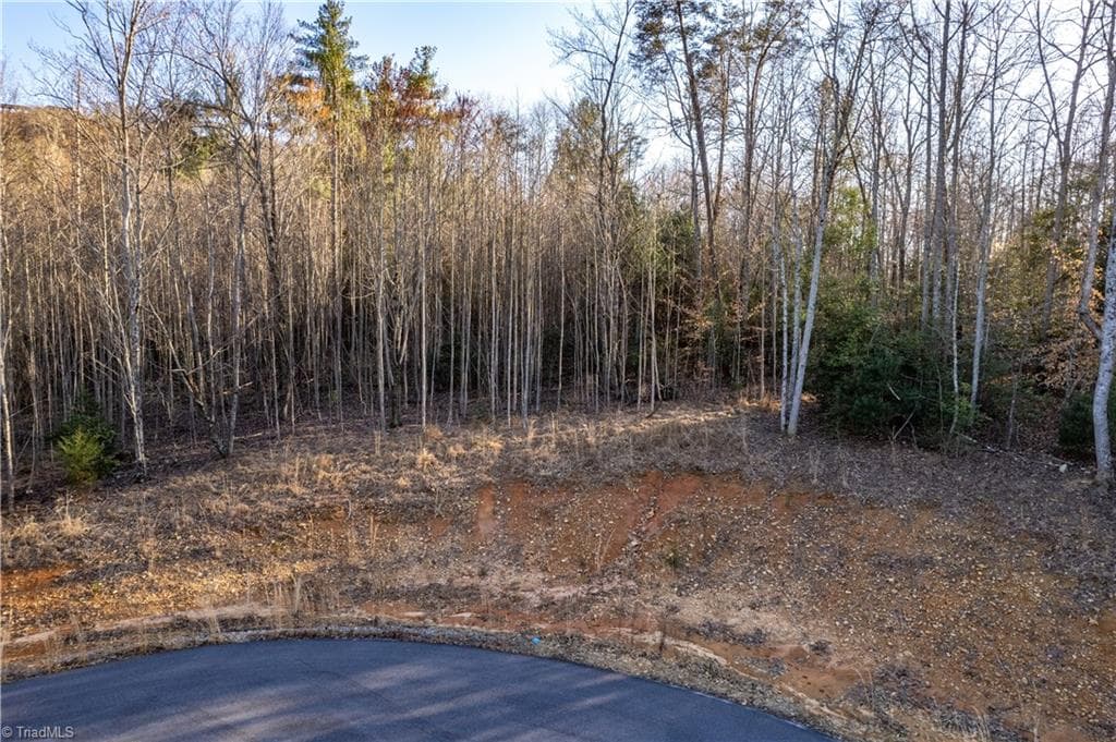 Unimproved Land at TBD1 Town N Country Drive, Wilkesboro NC 28697, photo 13 of 22