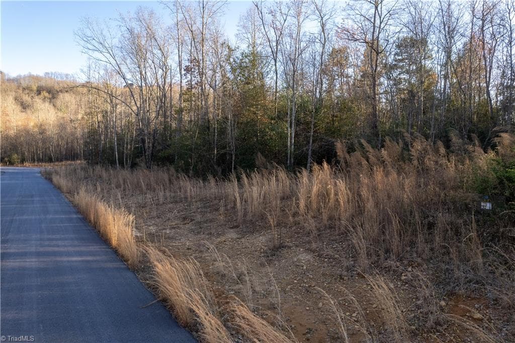 Unimproved Land at TBD1 Town N Country Drive, Wilkesboro NC 28697, photo 10 of 22