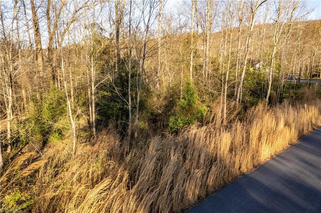 Unimproved Land at TBD1 Town N Country Drive, Wilkesboro NC 28697, photo 14 of 22