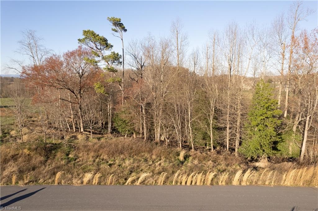 Unimproved Land at TBD1 Town N Country Drive, Wilkesboro NC 28697, photo 18 of 22