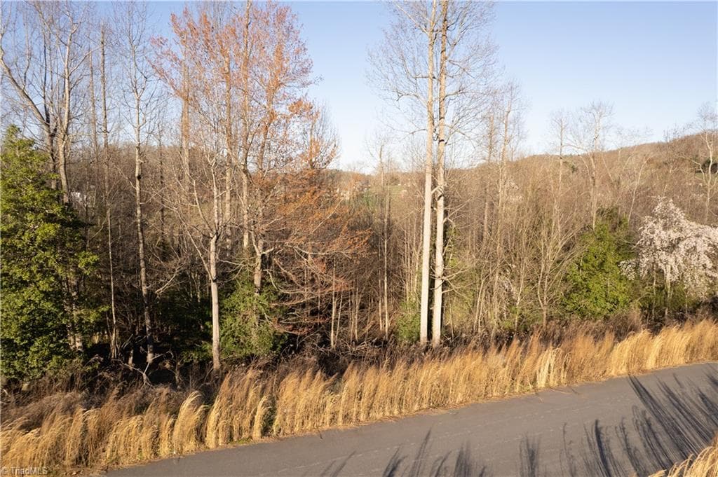 Unimproved Land at TBD1 Town N Country Drive, Wilkesboro NC 28697, photo 19 of 22