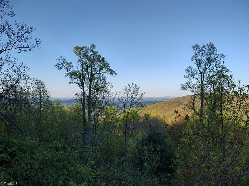 Lot 10 Park Vista Lane, Sparta NC 28675