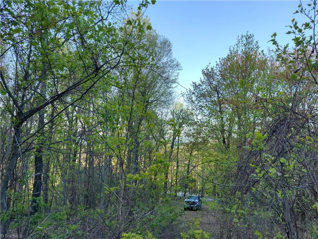 Single Family Residence at Lot 10 Park Vista Lane, Sparta NC 28675, photo 14 of 14