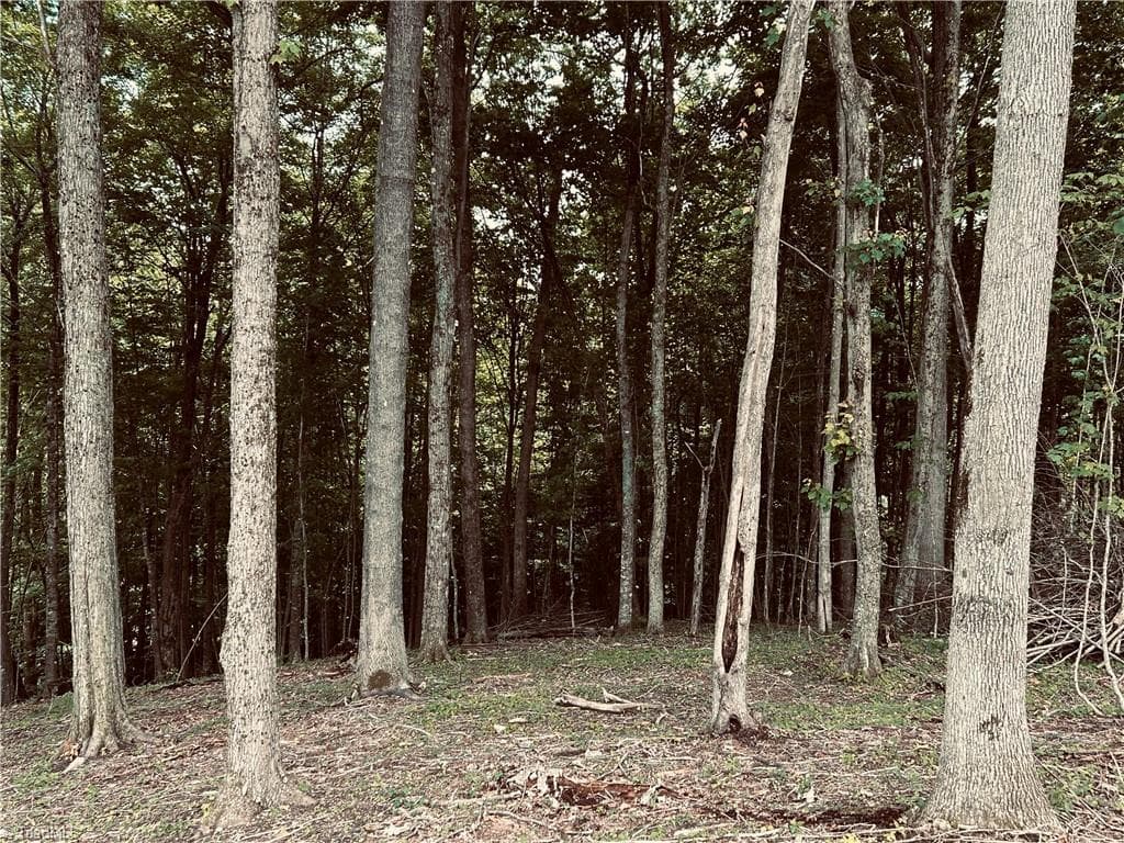 Single Family Residence at Lot 64 Poplar Forest Drive, Boone NC 28607, photo 13 of 23