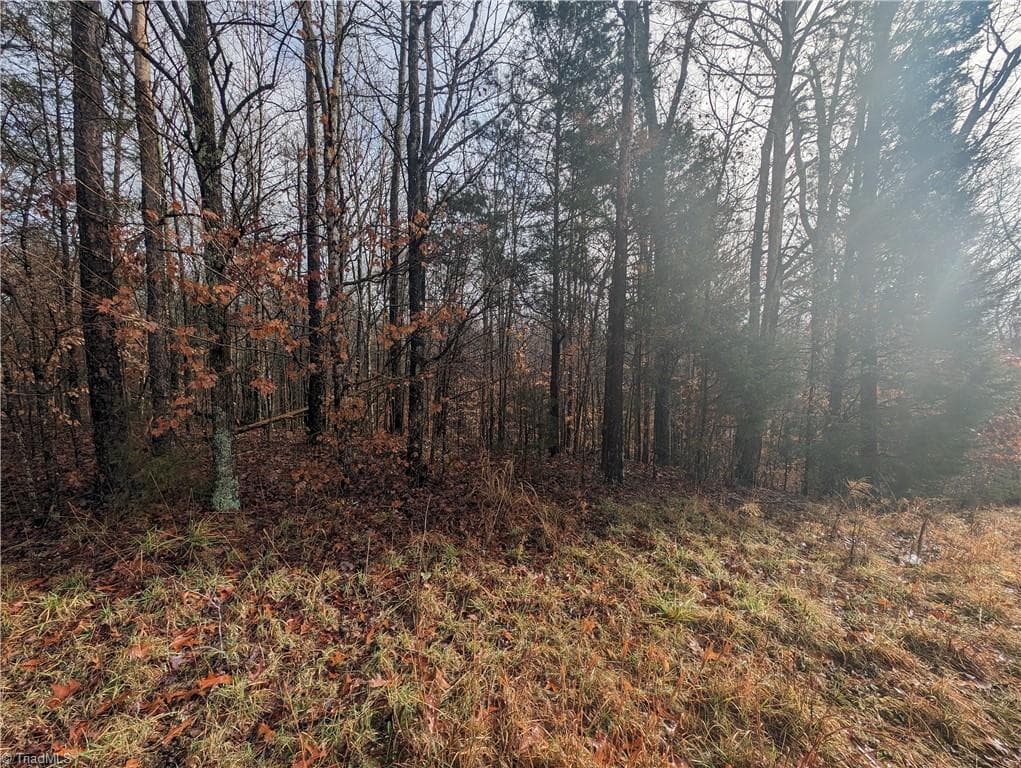 Unimproved Land at 255 Bowers Road, Thomasville NC 27360, photo 7 of 12