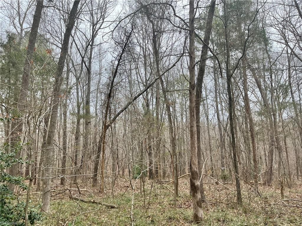 0 Pineview Road, Goldston NC 27252