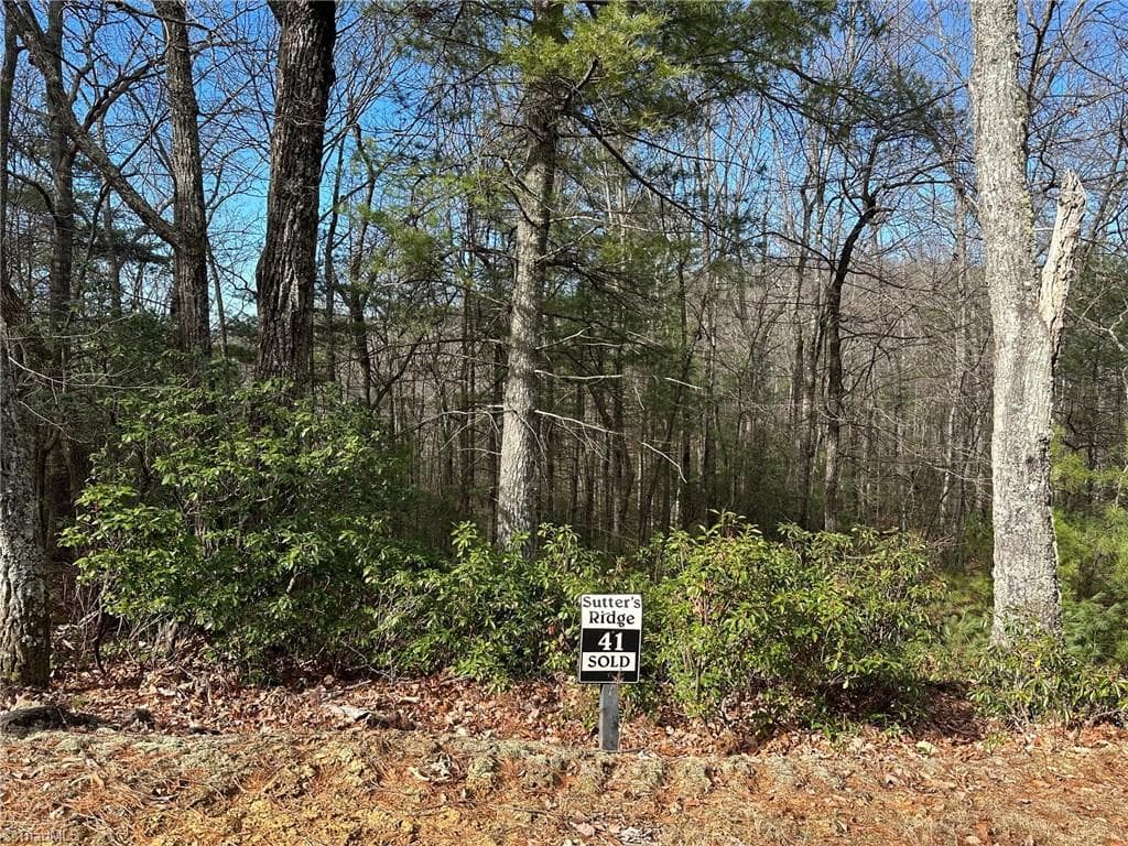Lot 41 Sutters Ridge Road, McGrady NC 28649