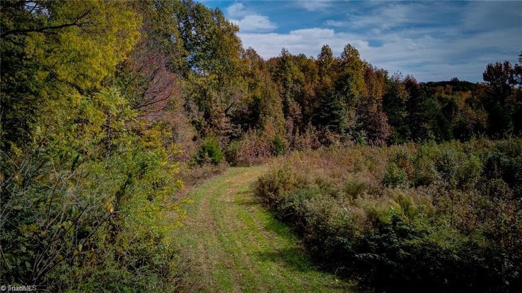 Unimproved Land at 0 Adams Road, Reidsville NC 27320, photo 21 of 21