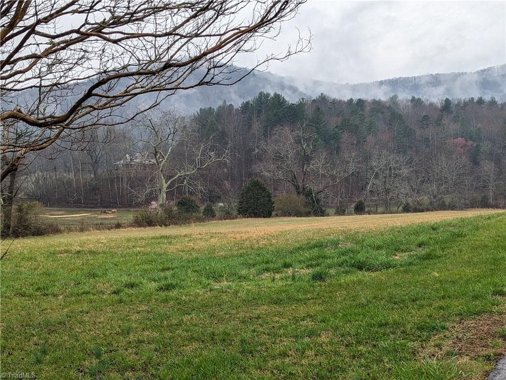Unimproved Land at TBD Antler Drive, McGrady NC 28649, McGrady, photo 6 of 8