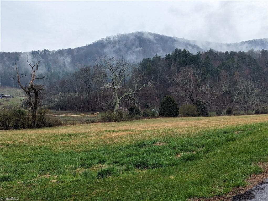 Unimproved Land at TBD Antler Drive, McGrady NC 28649, McGrady, photo 7 of 8