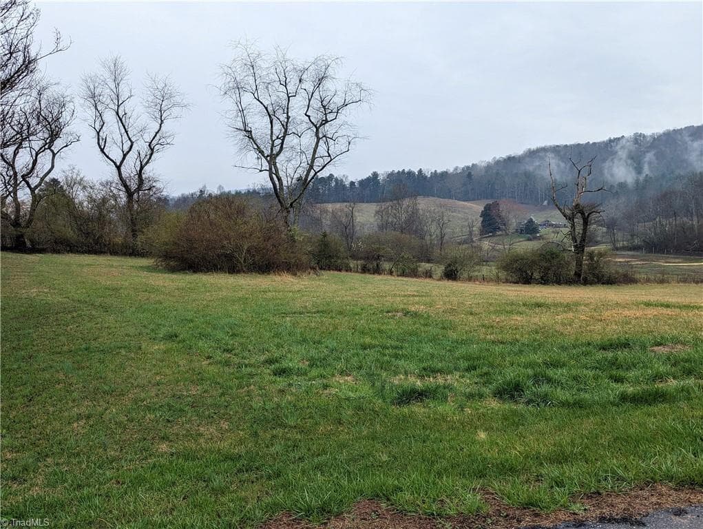 Unimproved Land at TBD Antler Drive, McGrady NC 28649, McGrady, photo 3 of 8