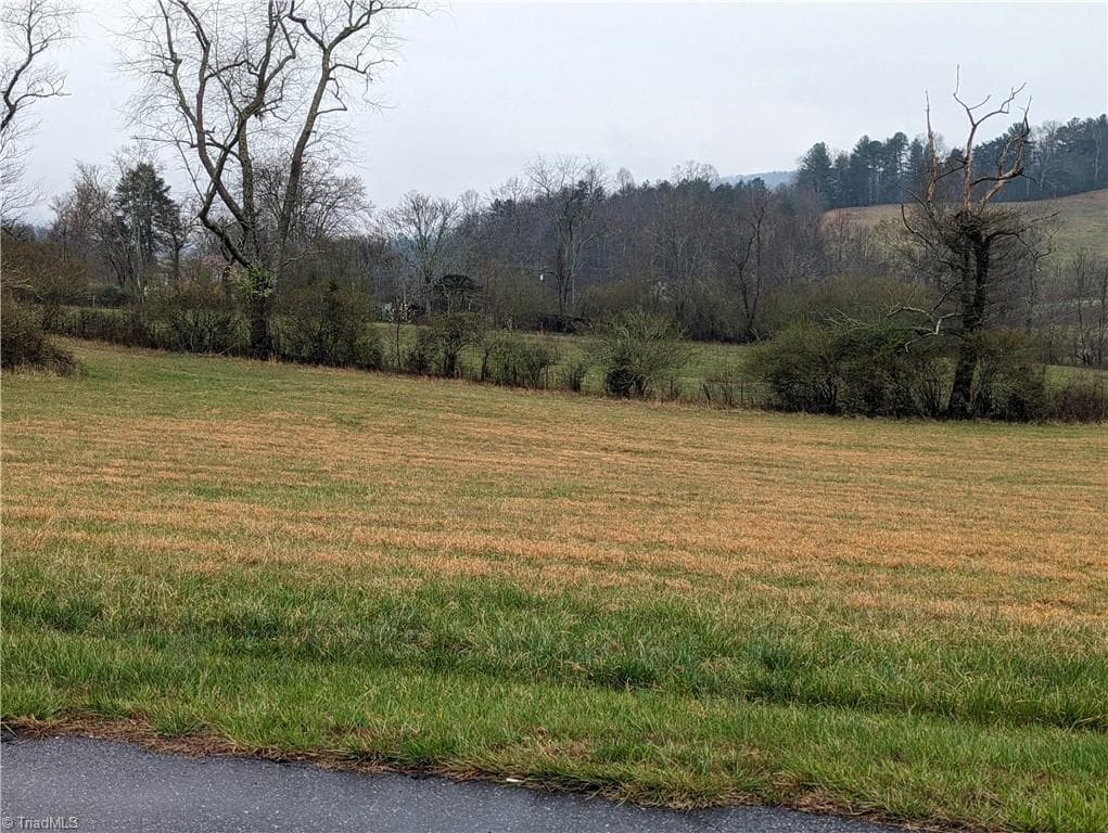 Unimproved Land at TBD Antler Drive, McGrady NC 28649, McGrady, photo 5 of 8