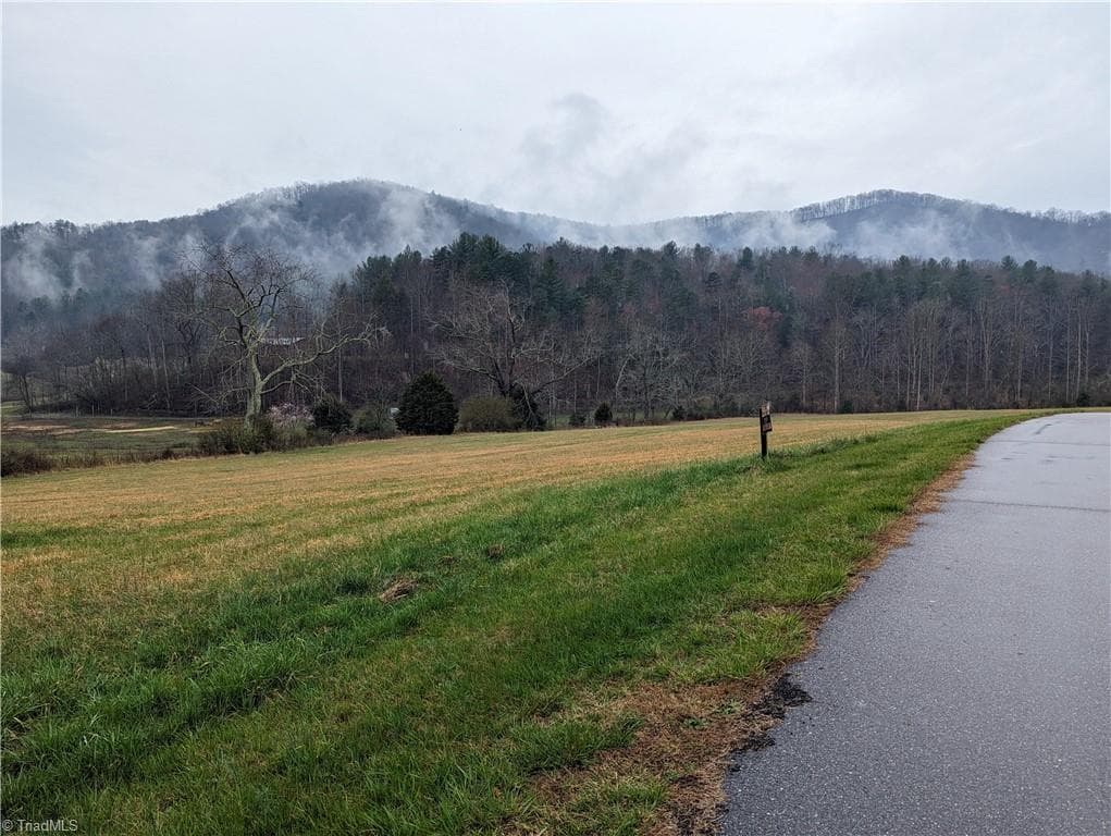 Unimproved Land at TBD Antler Drive, McGrady NC 28649, McGrady, photo 4 of 8