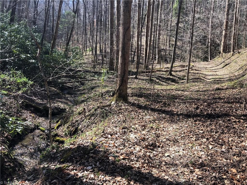 Unimproved Land at 0 Globe Road, Lenoir NC 28645, photo 10 of 18