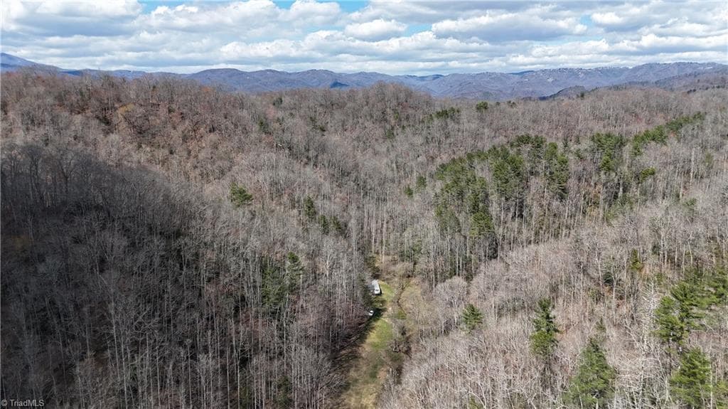 Unimproved Land at 0 Globe Road, Lenoir NC 28645, photo 8 of 18