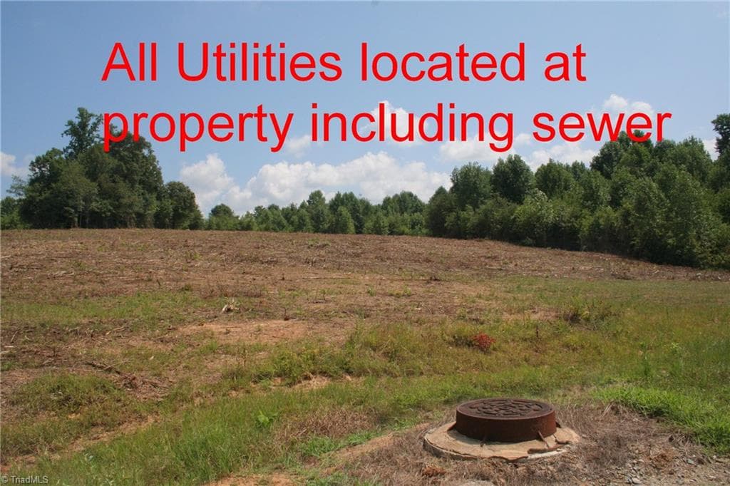 Remarks at 0 BEAMER Road, Yadkinville NC 27055, photo 4 of 5