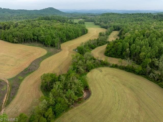 Remarks at TBD German Farm Road, Boomer NC 28606, photo 7 of 50