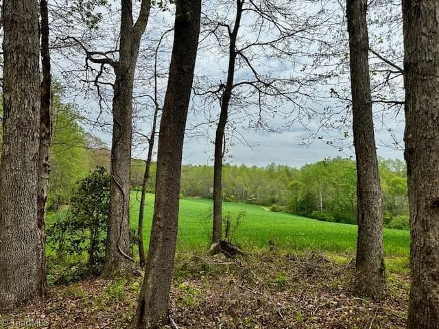 Remarks at TBD German Farm Road, Boomer NC 28606, photo 18 of 50