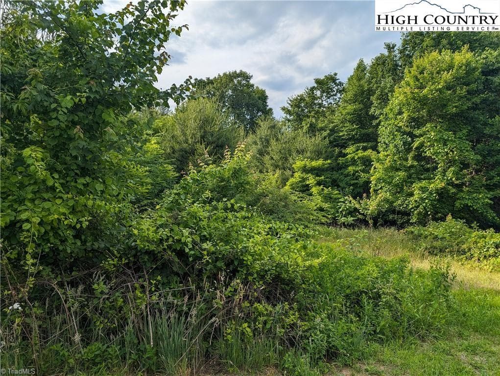 Unimproved Land at Lot 13 Briarwood Lane, Sparta NC 28675, photo 5 of 12