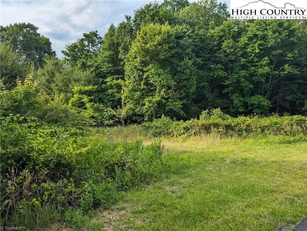 Unimproved Land at Lot 13 Briarwood Lane, Sparta NC 28675, photo 4 of 12