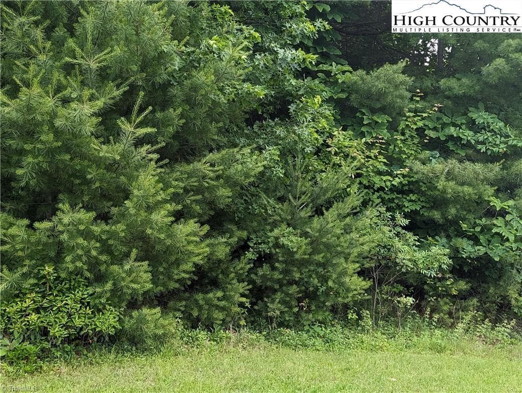 Unimproved Land at Lot 12 Briarwood Lane, Sparta NC 28675, photo 5 of 7