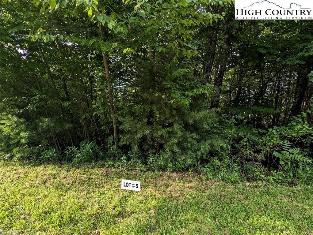 Single Family Residence at Lot 5 Briarwood Lane, Sparta NC 28675, photo 5 of 10