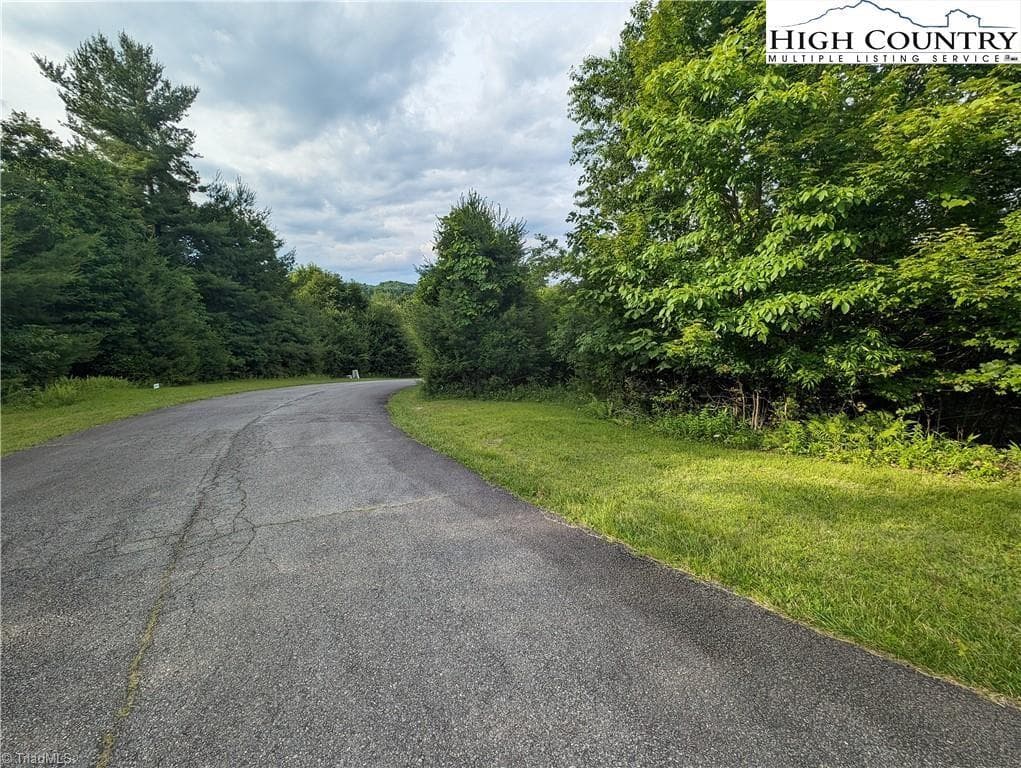 Unimproved Land at Lot 4 Briarwood Lane, Sparta NC 28675, photo 5 of 7