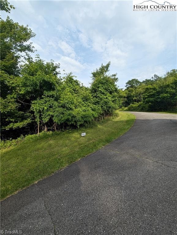Unimproved Land at Lot 4 Briarwood Lane, Sparta NC 28675, photo 4 of 7